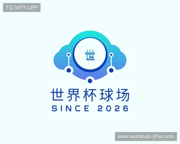 了解世界杯球场容量 了解世界杯球场容量